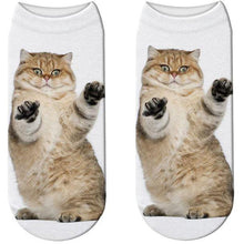 Load image into Gallery viewer, 3D Cat Print Cotton Socks for Men & Women freeshipping - Tyche Ace