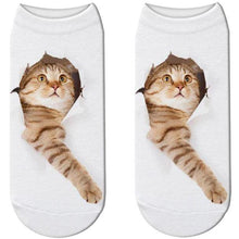Load image into Gallery viewer, 3D Cat Print Cotton Socks for Men & Women freeshipping - Tyche Ace