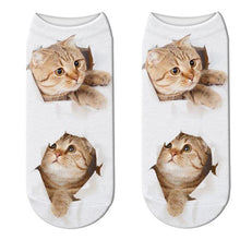 Load image into Gallery viewer, 3D Cat Print Cotton Socks for Men & Women freeshipping - Tyche Ace