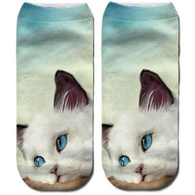 Load image into Gallery viewer, 3D Cat Print Cotton Socks for Men & Women freeshipping - Tyche Ace