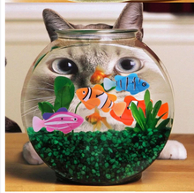 Load image into Gallery viewer, 5 Pcs Set Children Magical Battery Operated Robot Electronic Swimming Fish Toys freeshipping - Tyche Ace