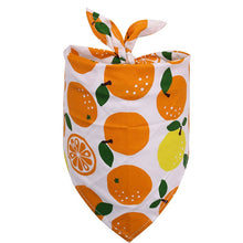 Load image into Gallery viewer, Summer Tropical Fruit Design Bandana For Dogs Cats