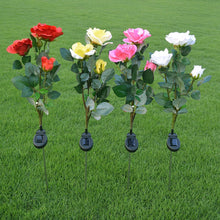 Load image into Gallery viewer, 3 Heads LED Decorative Outdoor Garden Solar Stake Lights freeshipping - Tyche Ace