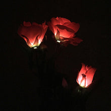 Load image into Gallery viewer, 3 Heads LED Decorative Outdoor Garden Solar Stake Lights freeshipping - Tyche Ace
