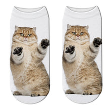 Load image into Gallery viewer, Unisex Cute 3D Cat Image Design Most Comfortable Ankle Socks freeshipping - Tyche Ace