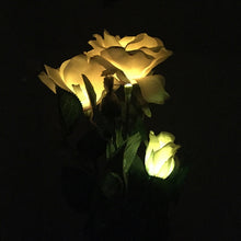 Load image into Gallery viewer, 3 Heads LED Decorative Outdoor Garden Solar Stake Lights freeshipping - Tyche Ace