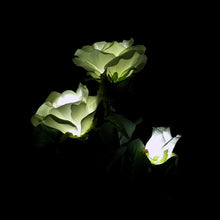 Load image into Gallery viewer, 3 Heads LED Decorative Outdoor Garden Solar Stake Lights freeshipping - Tyche Ace