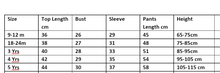 Load image into Gallery viewer, 2Pcs Unisex Cartoon Long Sleeve Sweater Jogger Outfits For Kids
