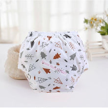 Load image into Gallery viewer, Baby Cotton Washable Cloth Reusable Waterproof Potty Training Pants freeshipping - Tyche Ace