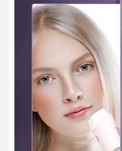 Load image into Gallery viewer, Facial Mesotherapy Skin Tightening Rejuvenation Radio Frequency Beauty Instrument freeshipping - Tyche Ace