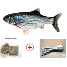 Load image into Gallery viewer, Health Promoting Sports Electric USB Charging Cat Fish Simulation Toy freeshipping - Tyche Ace