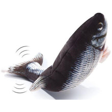 Load image into Gallery viewer, Health Promoting Sports Electric USB Charging Cat Fish Simulation Toy freeshipping - Tyche Ace