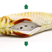 Load image into Gallery viewer, Health Promoting Sports Electric USB Charging Cat Fish Simulation Toy freeshipping - Tyche Ace