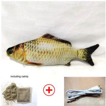 Load image into Gallery viewer, Health Promoting Sports Electric USB Charging Cat Fish Simulation Toy freeshipping - Tyche Ace
