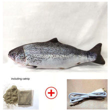 Load image into Gallery viewer, Health Promoting Sports Electric USB Charging Cat Fish Simulation Toy freeshipping - Tyche Ace