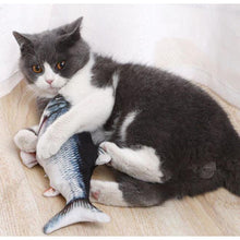 Load image into Gallery viewer, Health Promoting Sports Electric USB Charging Cat Fish Simulation Toy freeshipping - Tyche Ace