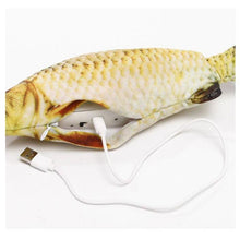 Load image into Gallery viewer, Health Promoting Sports Electric USB Charging Cat Fish Simulation Toy freeshipping - Tyche Ace