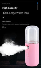 Load image into Gallery viewer, Nano USB Face Skin Care Anti-aging Hydrating Disinfect Steamer freeshipping - Tyche Ace