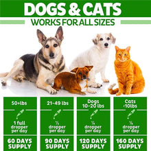 Load image into Gallery viewer, Pet Natural Hemp Essential Pain Relief Oil freeshipping - Tyche Ace