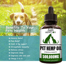 Load image into Gallery viewer, Pet Natural Hemp Essential Pain Relief Oil freeshipping - Tyche Ace