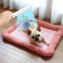 Load image into Gallery viewer, Portable UVC Sterilisation Disinfection Personal Care Traveling Steriliser Lamp freeshipping - Tyche Ace