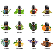 Load image into Gallery viewer, Pure Plant Natural Aromatherapy Essential Diffuser Oil freeshipping - Tyche Ace