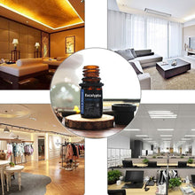 Load image into Gallery viewer, Pure Plant Natural Aromatherapy Essential Diffuser Oil freeshipping - Tyche Ace