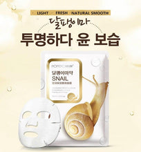 Load image into Gallery viewer, Snail Mucus Extract Moisturising Anti-aging Replenishing Oil Control Acne Sheet Mask freeshipping - Tyche Ace