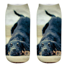 Load image into Gallery viewer, Unisex Cotton Ankle 3D Print Dogs Pattern Design Socks freeshipping - Tyche Ace