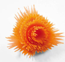Load image into Gallery viewer, Vegetable Fruit Vegetable Roll Flower Cutter Slicer Carving Tools freeshipping - Tyche Ace
