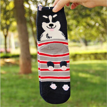 Load image into Gallery viewer, Women Beautiful Cotton Animal Cartoon Socks freeshipping - Tyche Ace