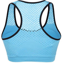 Load image into Gallery viewer, Women Breathable Quick Dry, Sweat Absorbing, Seamless Sports Bra freeshipping - Tyche Ace