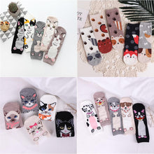 Load image into Gallery viewer, Women Cartoon Pug Kitten Print Pattern Cotton Socks freeshipping - Tyche Ace