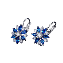 Load image into Gallery viewer, Women Clear Crystal Flower Cluster Earrings freeshipping - Tyche Ace