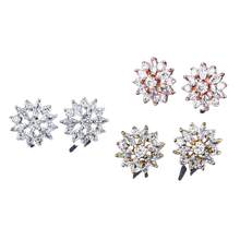 Load image into Gallery viewer, Women Clear Crystal Flower Cluster Earrings freeshipping - Tyche Ace