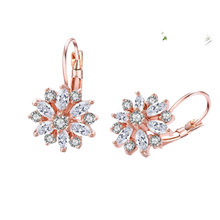Load image into Gallery viewer, Women Clear Crystal Flower Cluster Earrings freeshipping - Tyche Ace