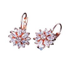 Load image into Gallery viewer, Women Clear Crystal Flower Cluster Earrings freeshipping - Tyche Ace