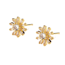 Load image into Gallery viewer, Women Clear Crystal Flower Cluster Earrings freeshipping - Tyche Ace