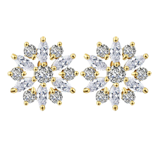 Load image into Gallery viewer, Women Clear Crystal Flower Cluster Earrings freeshipping - Tyche Ace
