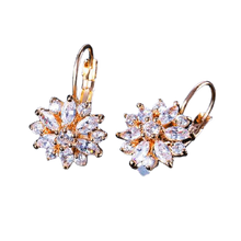 Load image into Gallery viewer, Women Clear Crystal Flower Cluster Earrings freeshipping - Tyche Ace