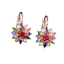 Load image into Gallery viewer, Women Clear Crystal Flower Cluster Earrings freeshipping - Tyche Ace
