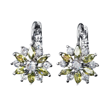 Load image into Gallery viewer, Women Clear Crystal Flower Cluster Earrings freeshipping - Tyche Ace