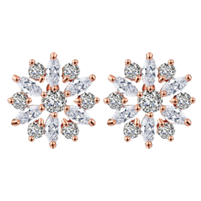 Load image into Gallery viewer, Women Clear Crystal Flower Cluster Earrings freeshipping - Tyche Ace