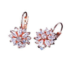 Load image into Gallery viewer, Women Clear Crystal Flower Cluster Earrings freeshipping - Tyche Ace