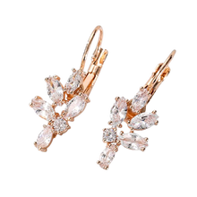 Load image into Gallery viewer, Women Clear Crystal Flower Cluster Earrings freeshipping - Tyche Ace