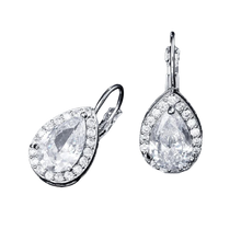 Load image into Gallery viewer, Women Clear Crystal Flower Cluster Earrings freeshipping - Tyche Ace