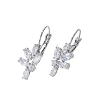 Load image into Gallery viewer, Women Clear Crystal Flower Cluster Earrings freeshipping - Tyche Ace