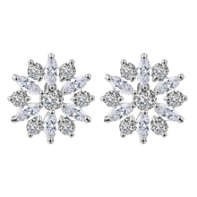 Load image into Gallery viewer, Women Clear Crystal Flower Cluster Earrings freeshipping - Tyche Ace