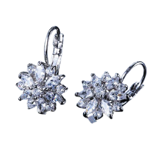 Load image into Gallery viewer, Women Clear Crystal Flower Cluster Earrings freeshipping - Tyche Ace