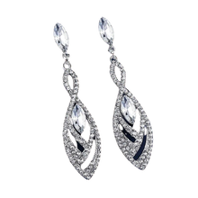 Load image into Gallery viewer, Women Hanging Crystal Long Drop Earrings freeshipping - Tyche Ace